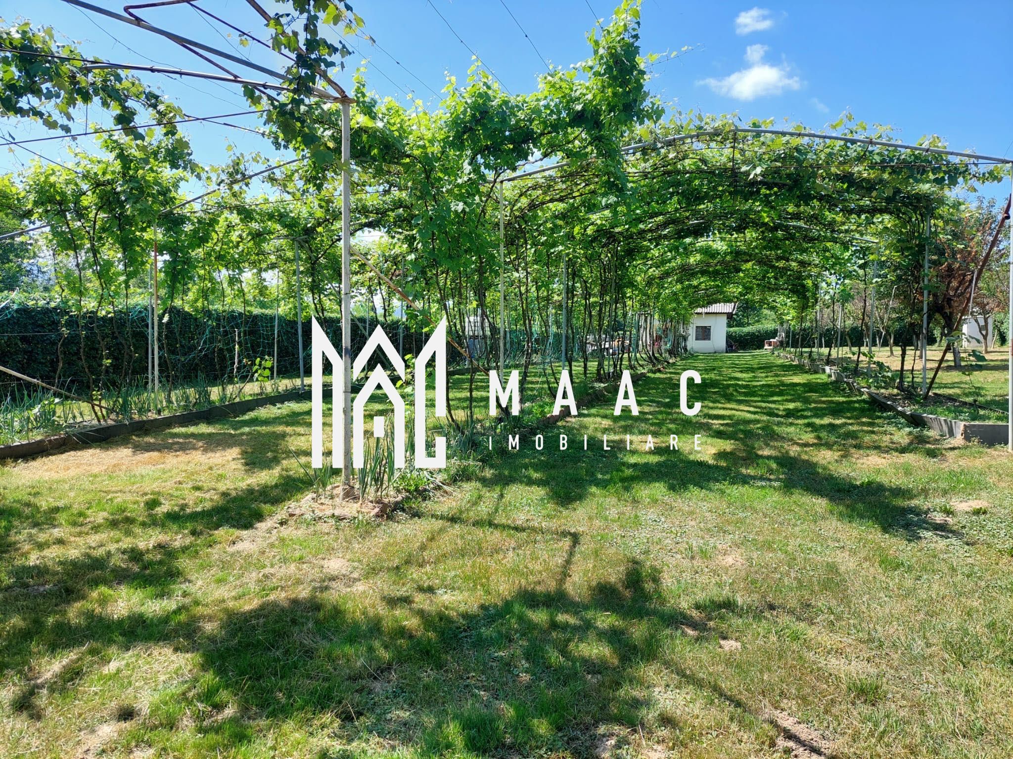 Teren | Intravilan 2.166 Mp | Construcție existenta |  Pădurea Dumbrava — fotografia 3