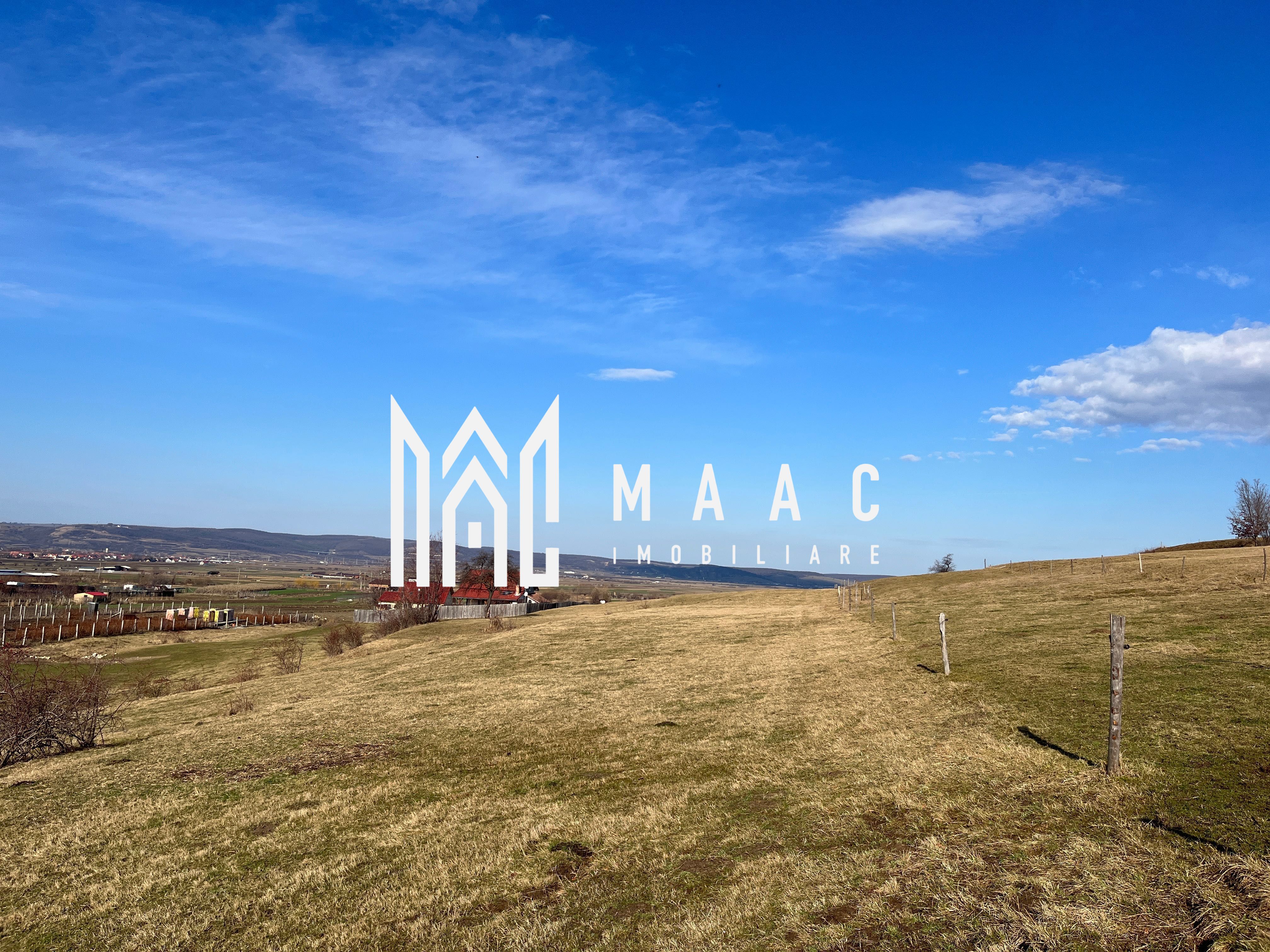 Teren cu potențial turistic I 1200 MP I Gura Râului - Mărăjdiei — fotografia 9