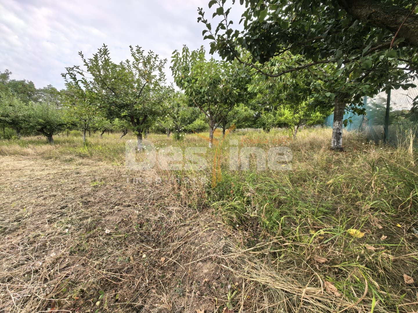 Teren 3.000 mp, cu autorizație și utilități — fotografia 5