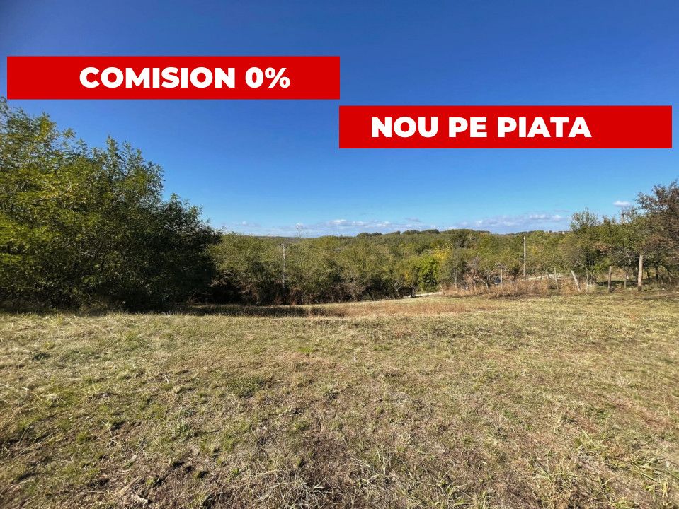 Teren generos Argeș Babana