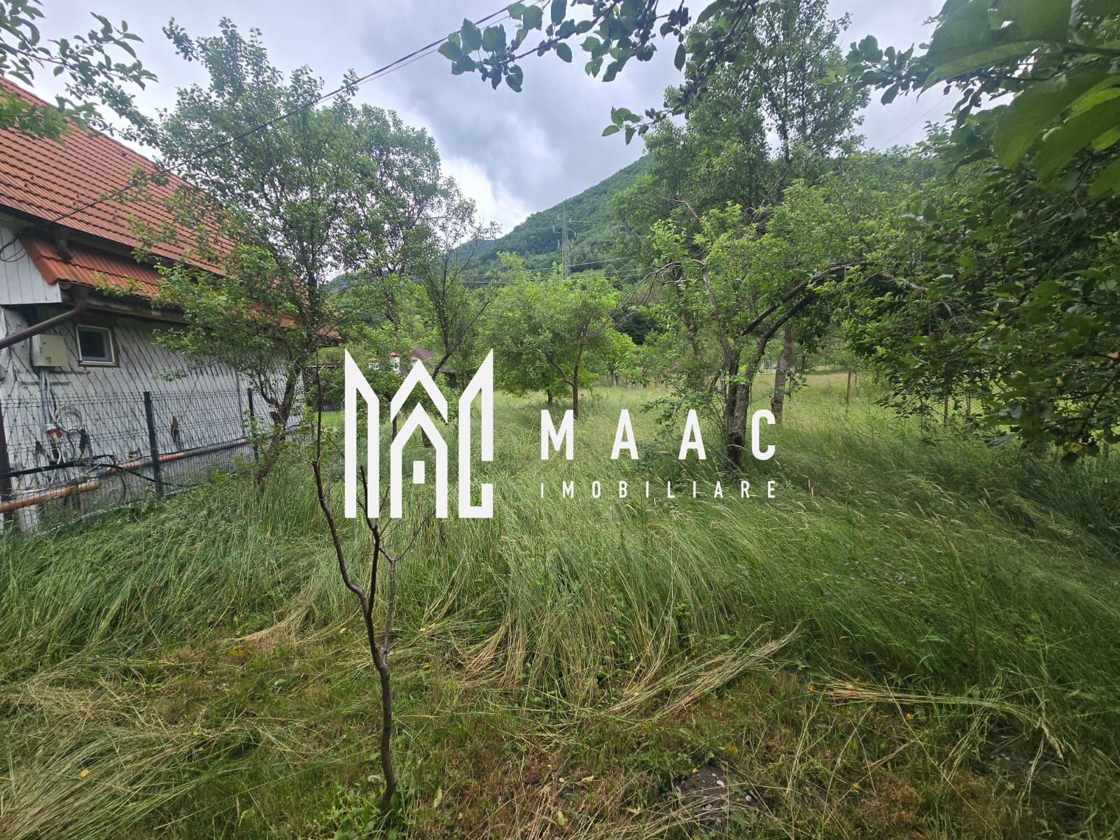 Casa de vacanta 1200 mp teren Valea Lotrioarei — fotografia 8