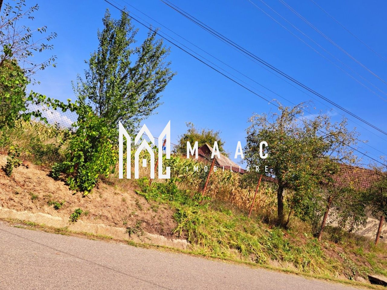Casă cu teren generos | 18 km de Sibiu | 2400 mp teren | Anexe& Construcție noua — fotografia 5