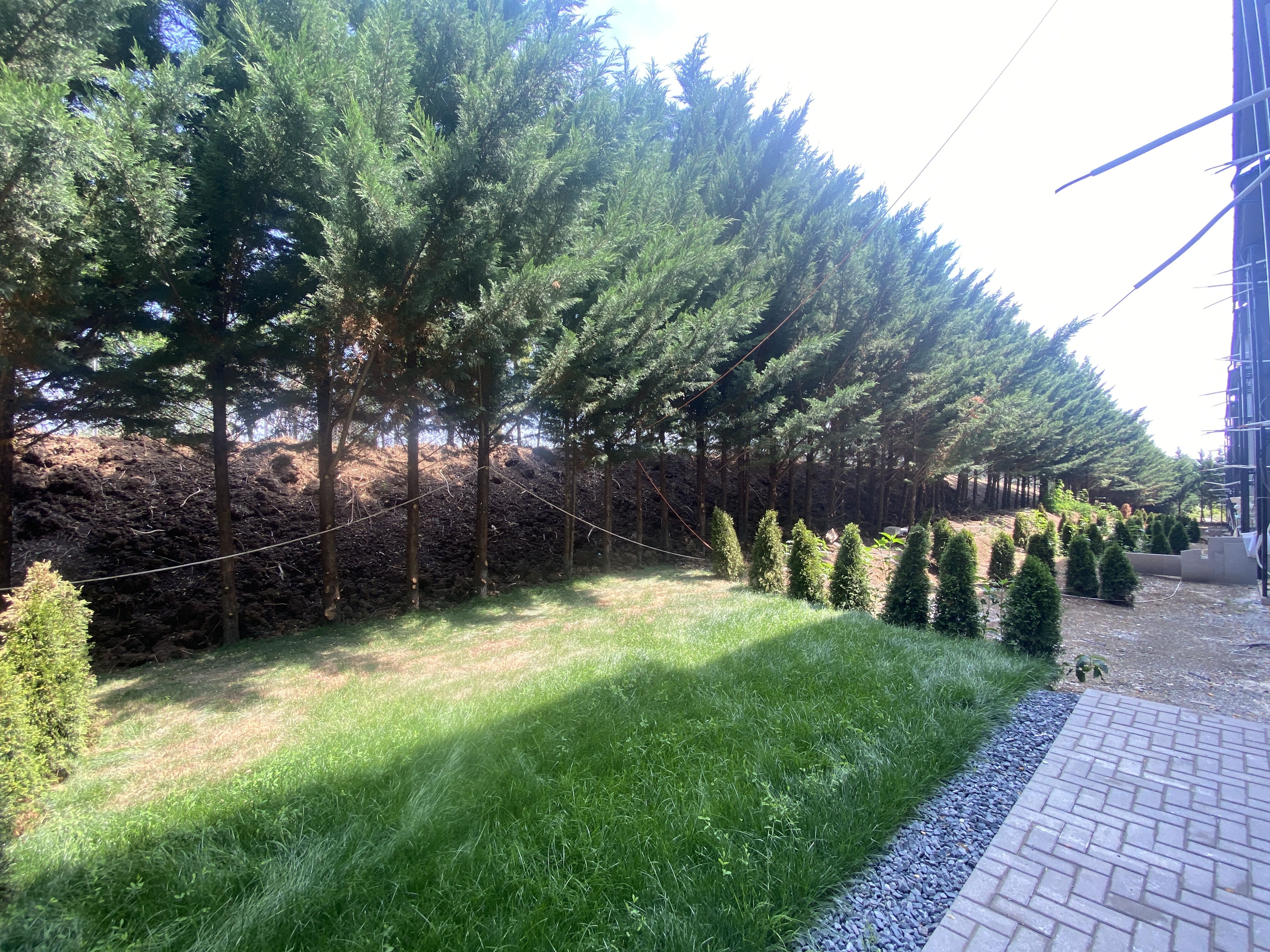 Apartament 2 camere gradina proprie 50mp + 50mp de vanzare Sibiu Vest — fotografia 5