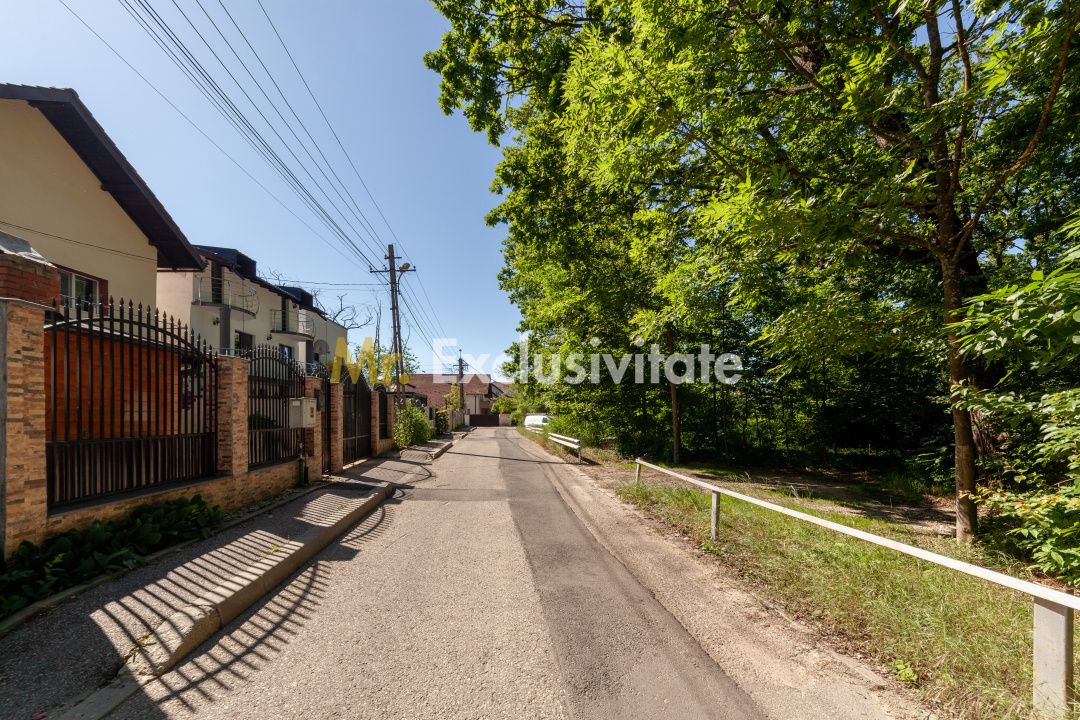 Casa P+M langa Padurea Trivale — fotografia 12