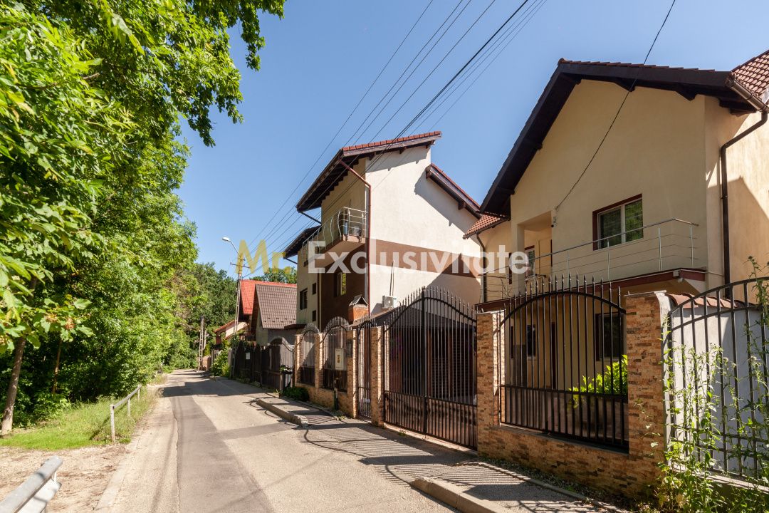 Casa P+M langa Padurea Trivale — fotografia 13