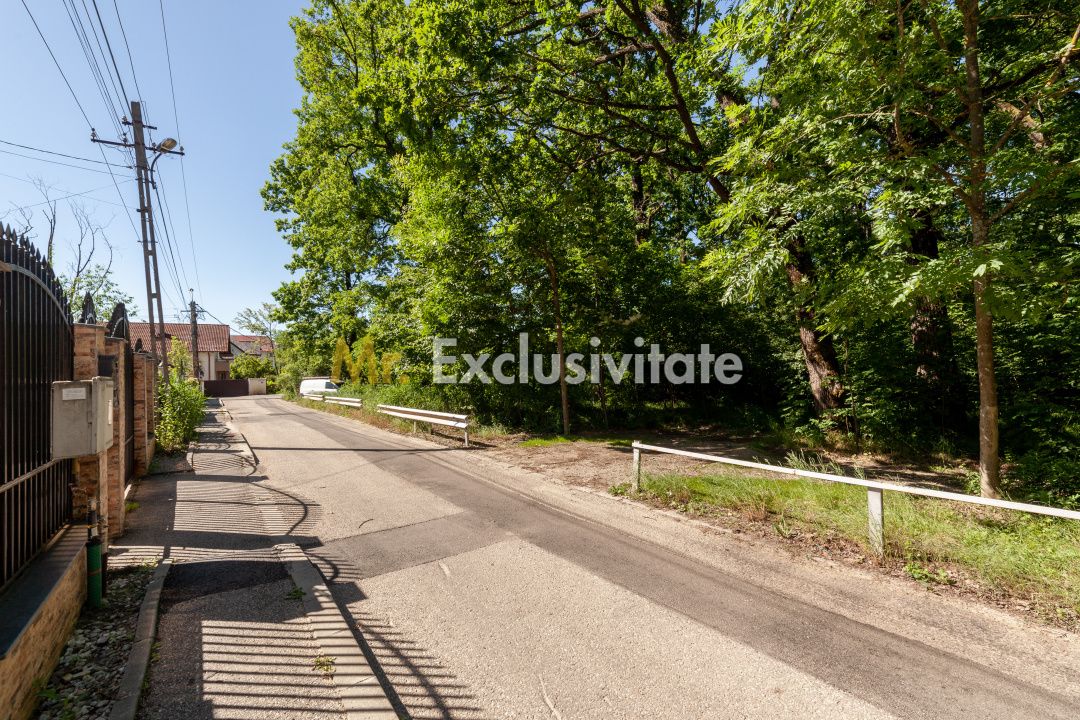 Casa P+M langa Padurea Trivale — fotografia 15