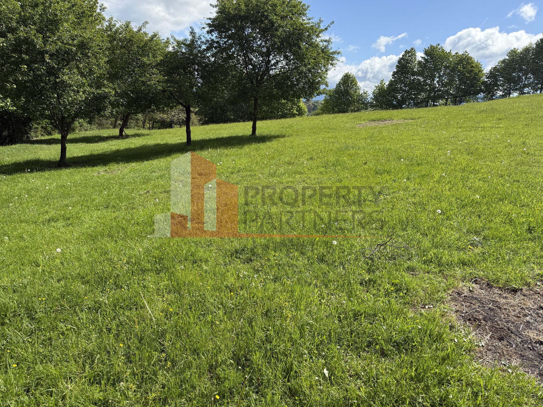 Teren Bran Sohodol 6700 mp — fotografia 5