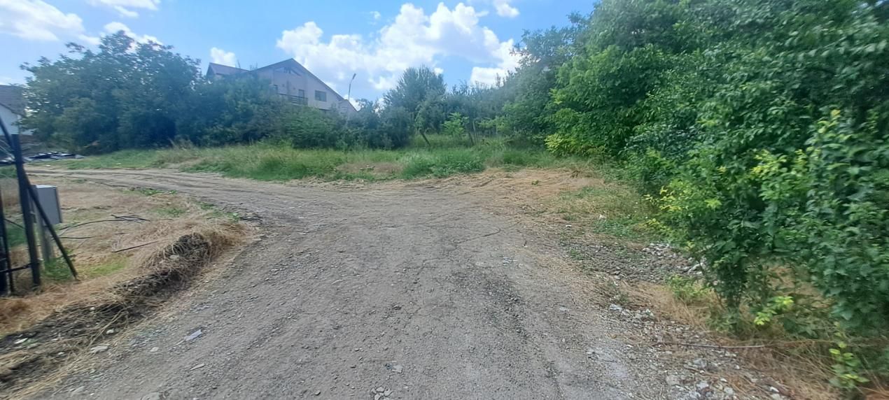 TEREN intravilan Balciu - MIROSLAVA , 709 MP, 77.990 EURO