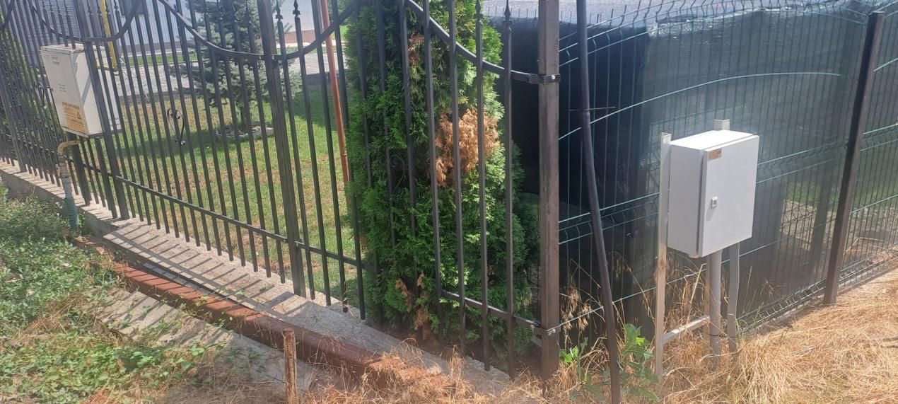 TEREN intravilan  Balciu - MIROSLAVA , 709 MP, 77.990 EURO — fotografia 5