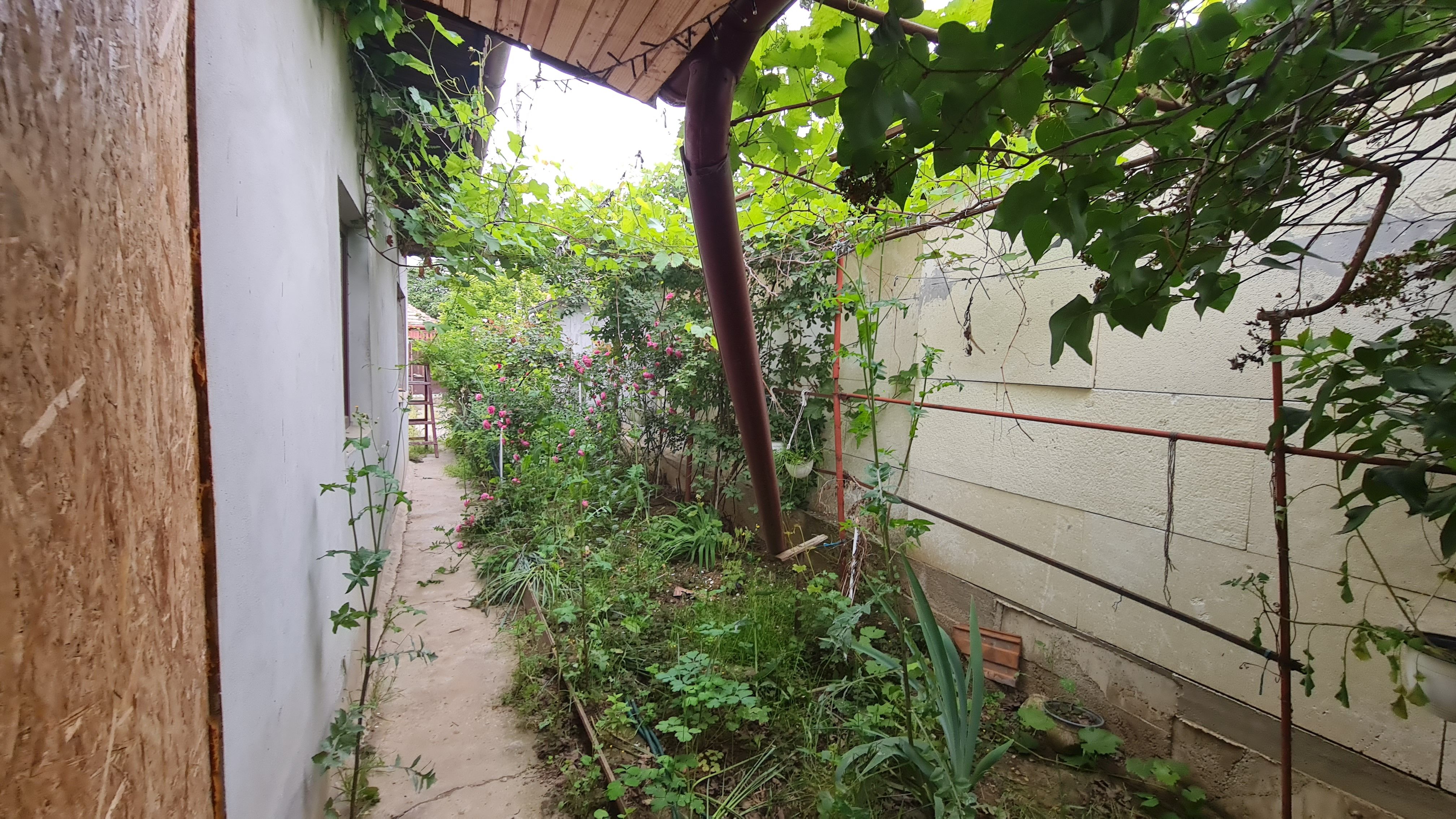 Casa individuala pe  strada Oltului I zona Metro Voluntari! — fotografia 4