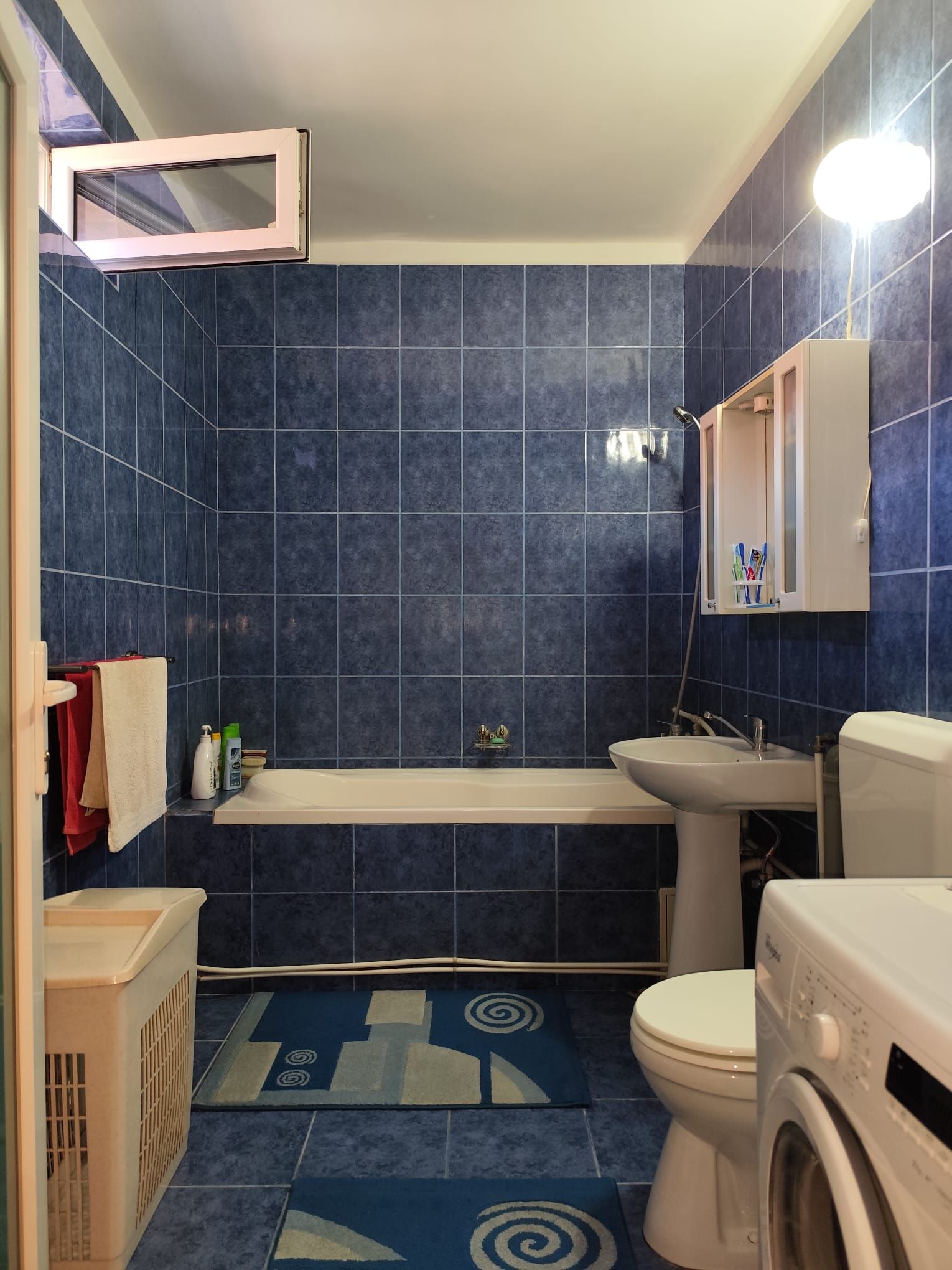 Casa la tara - teren 2826 mp, acces auto, in Sacadat, Bihor — fotografia 13