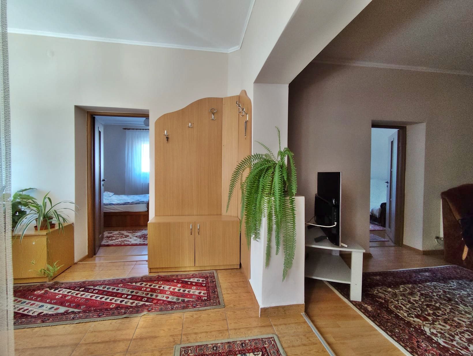 Casa la tara - teren 2826 mp, acces auto, in Sacadat, Bihor — fotografia 3