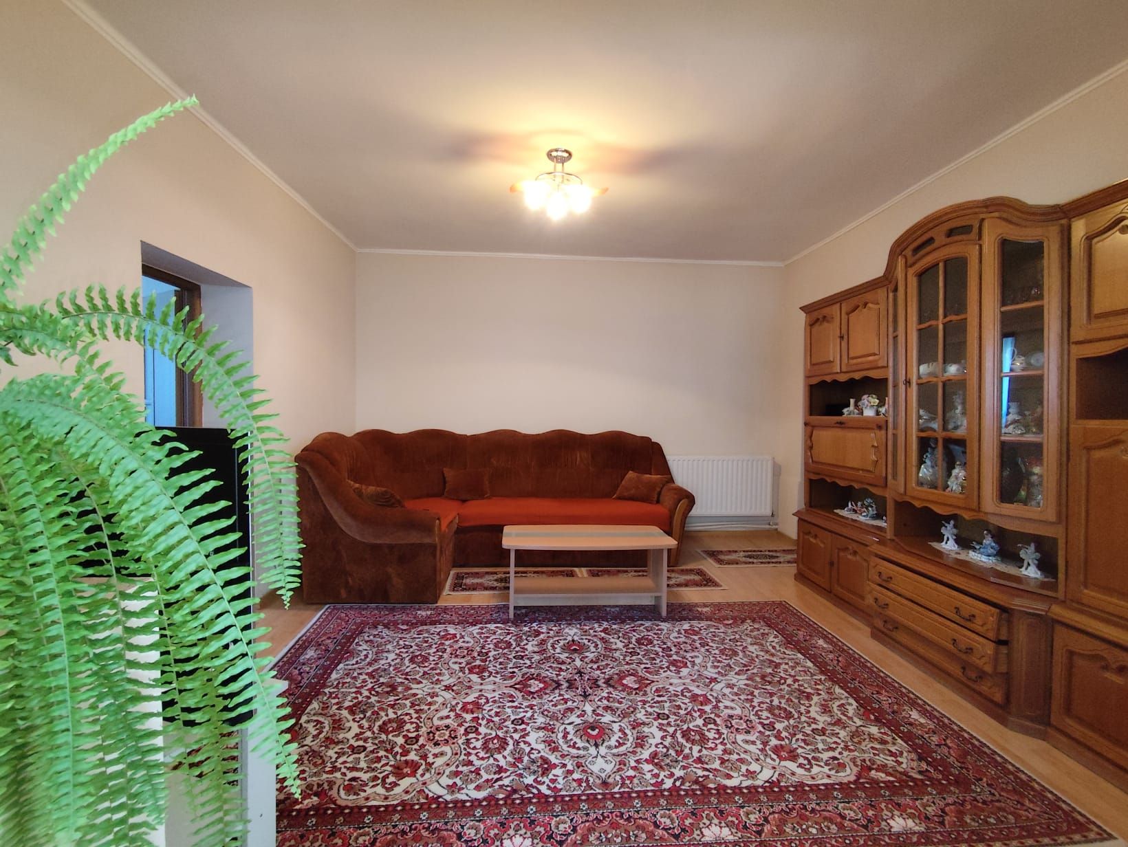 Casa la tara - teren 2826 mp, acces auto, in Sacadat, Bihor — fotografia 4