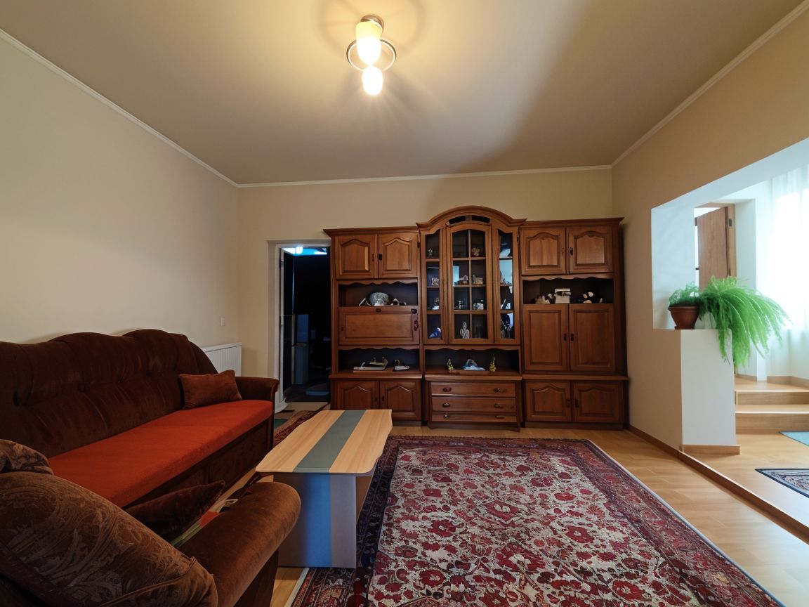 Casa la tara - teren 2826 mp, acces auto, in Sacadat, Bihor — fotografia 5