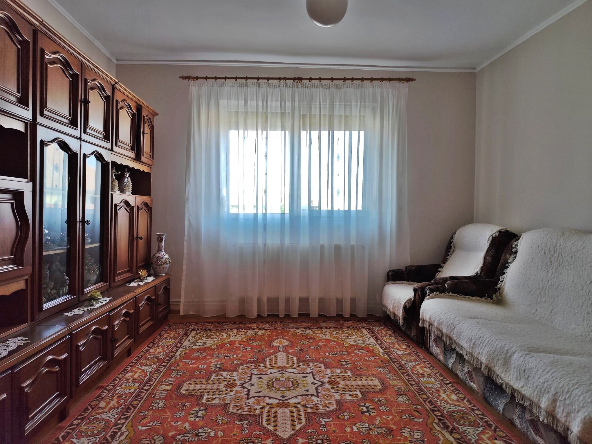Casa la tara - teren 2826 mp, acces auto, in Sacadat, Bihor — fotografia 8