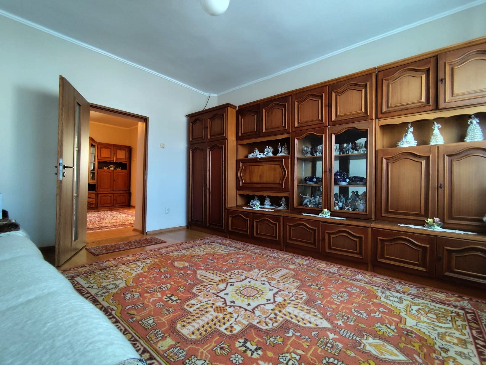 Casa la tara - teren 2826 mp, acces auto, in Sacadat, Bihor — fotografia 9