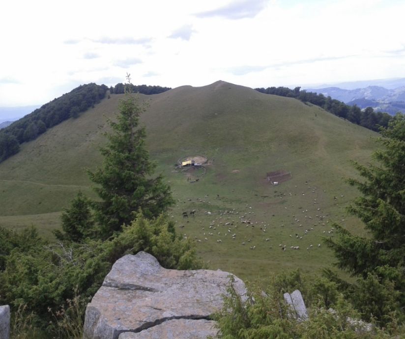 Teren extravilan pasune 270.000 mp Bertea Prahova