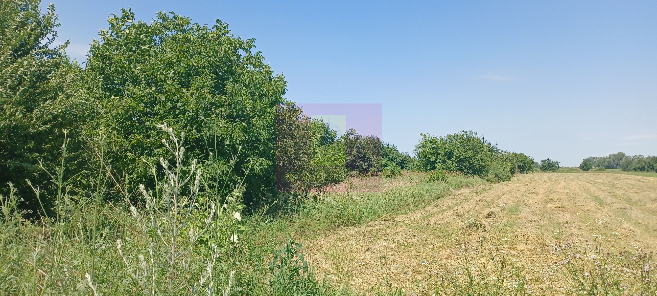 Săbăreni, teren intravilan 665 mp, aproape de DJ 602 — fotografia 3