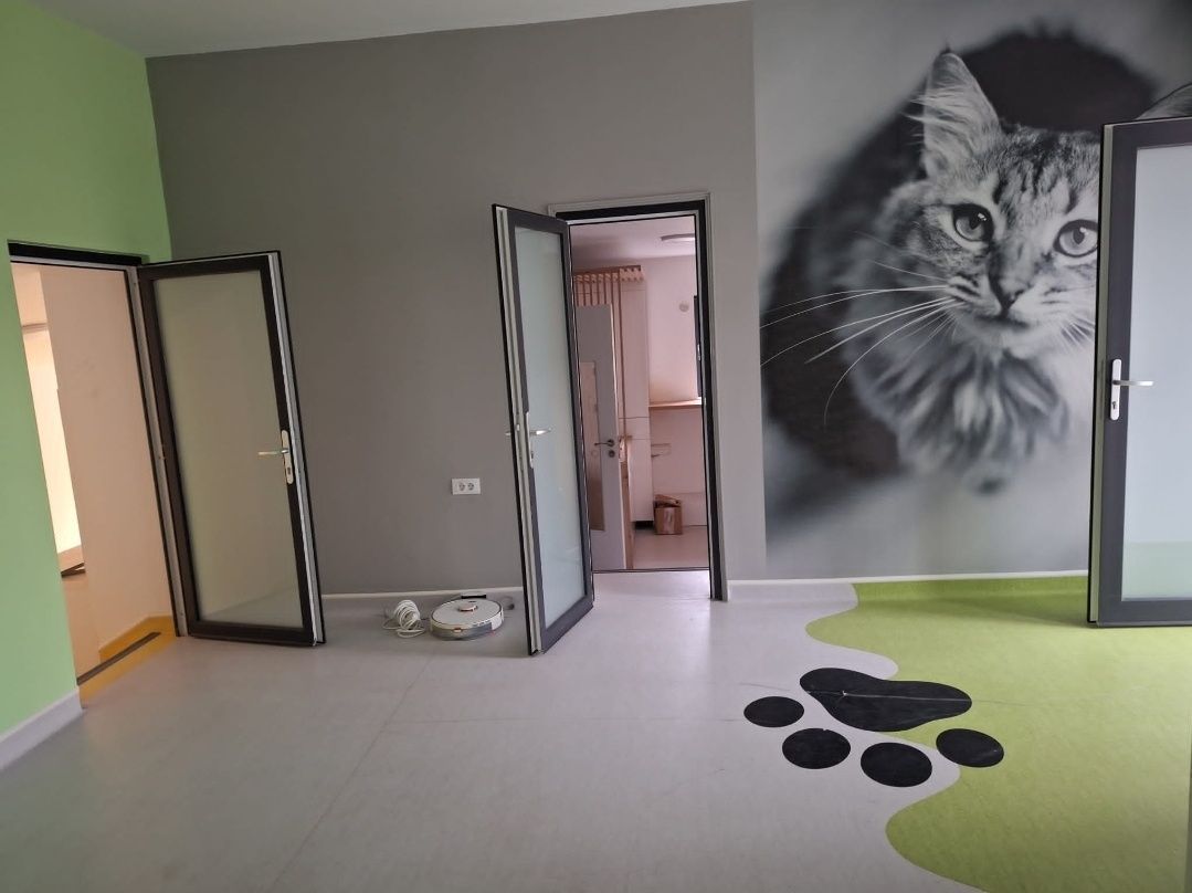 Casa de vanzare Sararie - Copou — fotografia 5