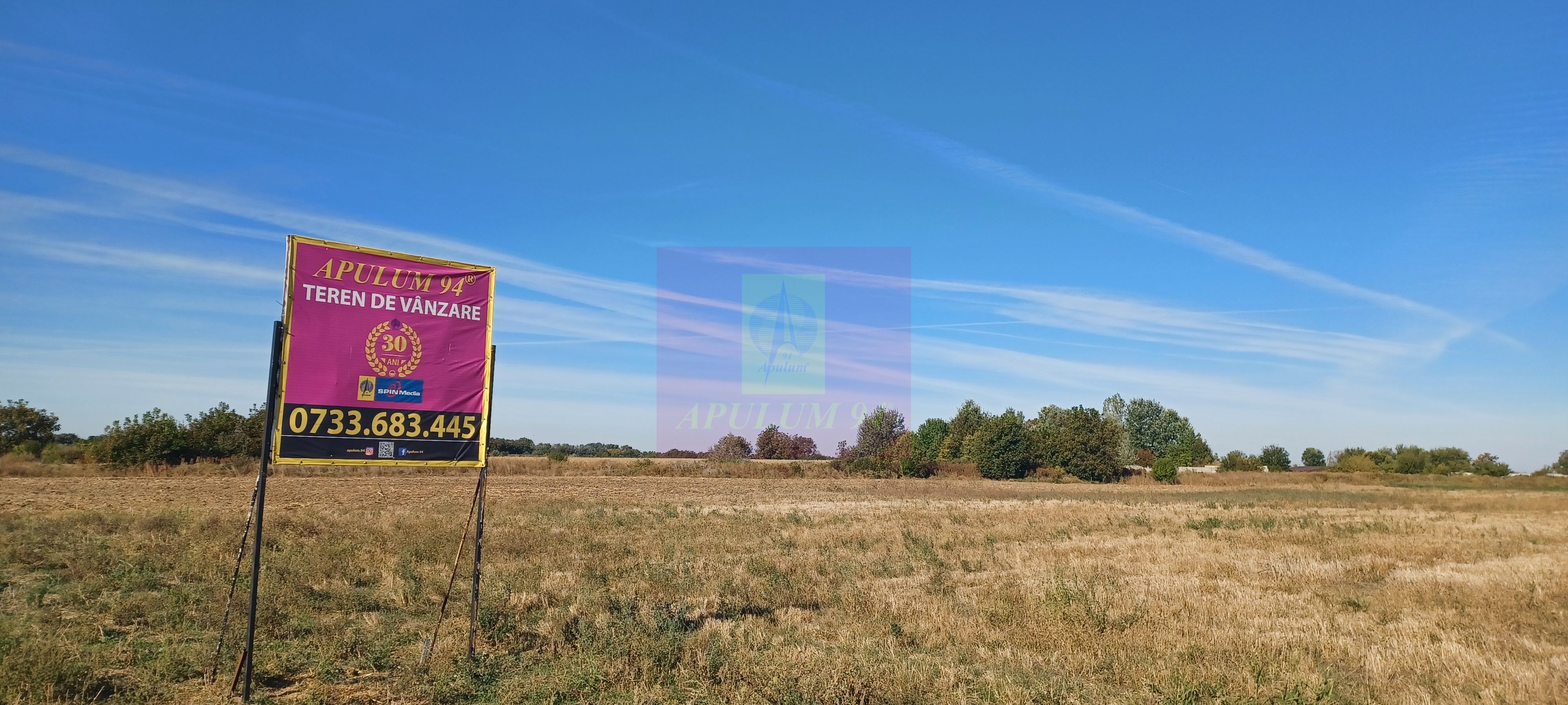 Teren intravilan 4500 mp, stradal intre Sabareni si Joita — fotografia 4
