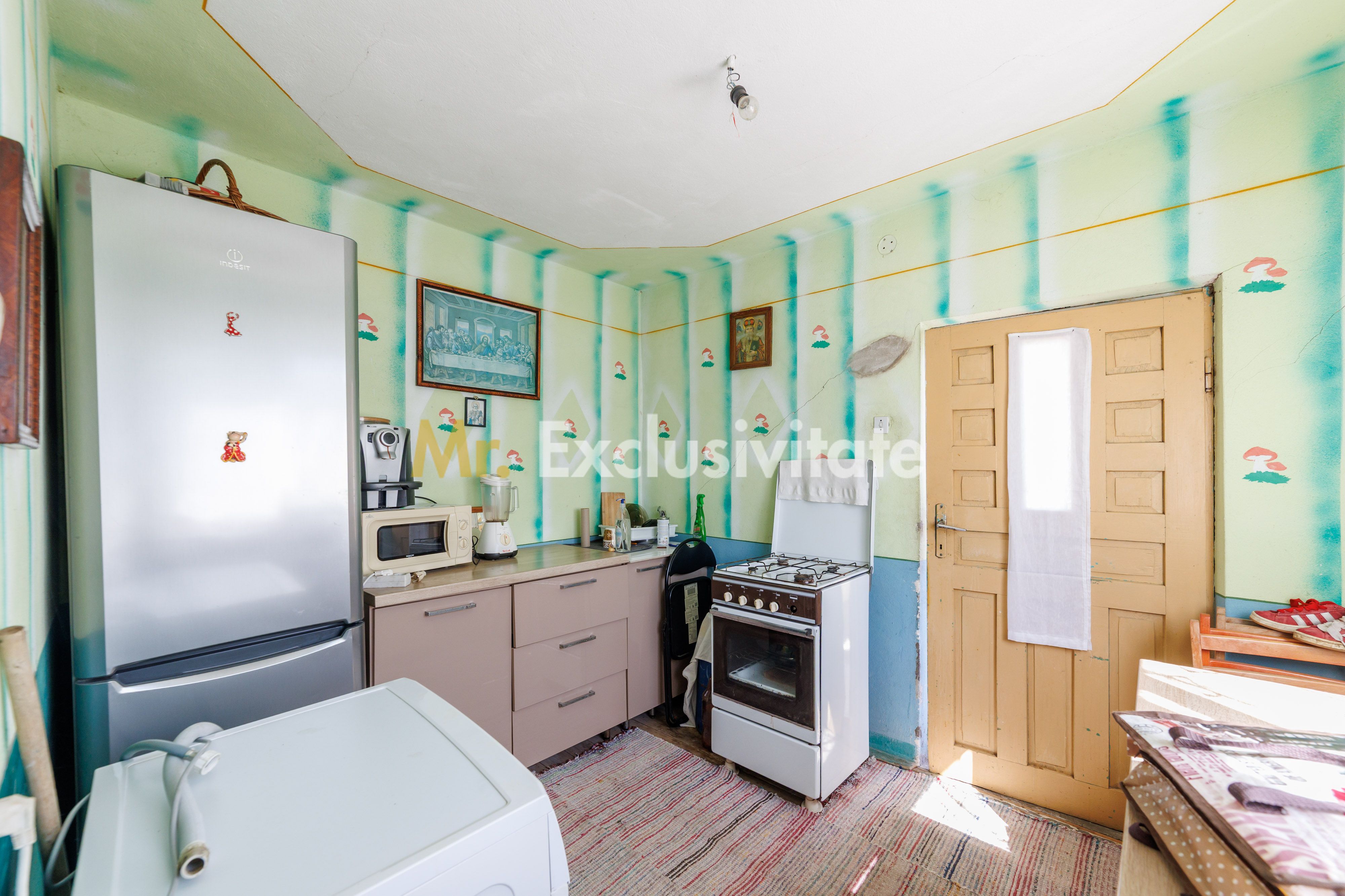 CASA SI GOSPODARIE DE VANZARE – SPINENI, OLT | 4.000 MP TEREN — fotografia 4