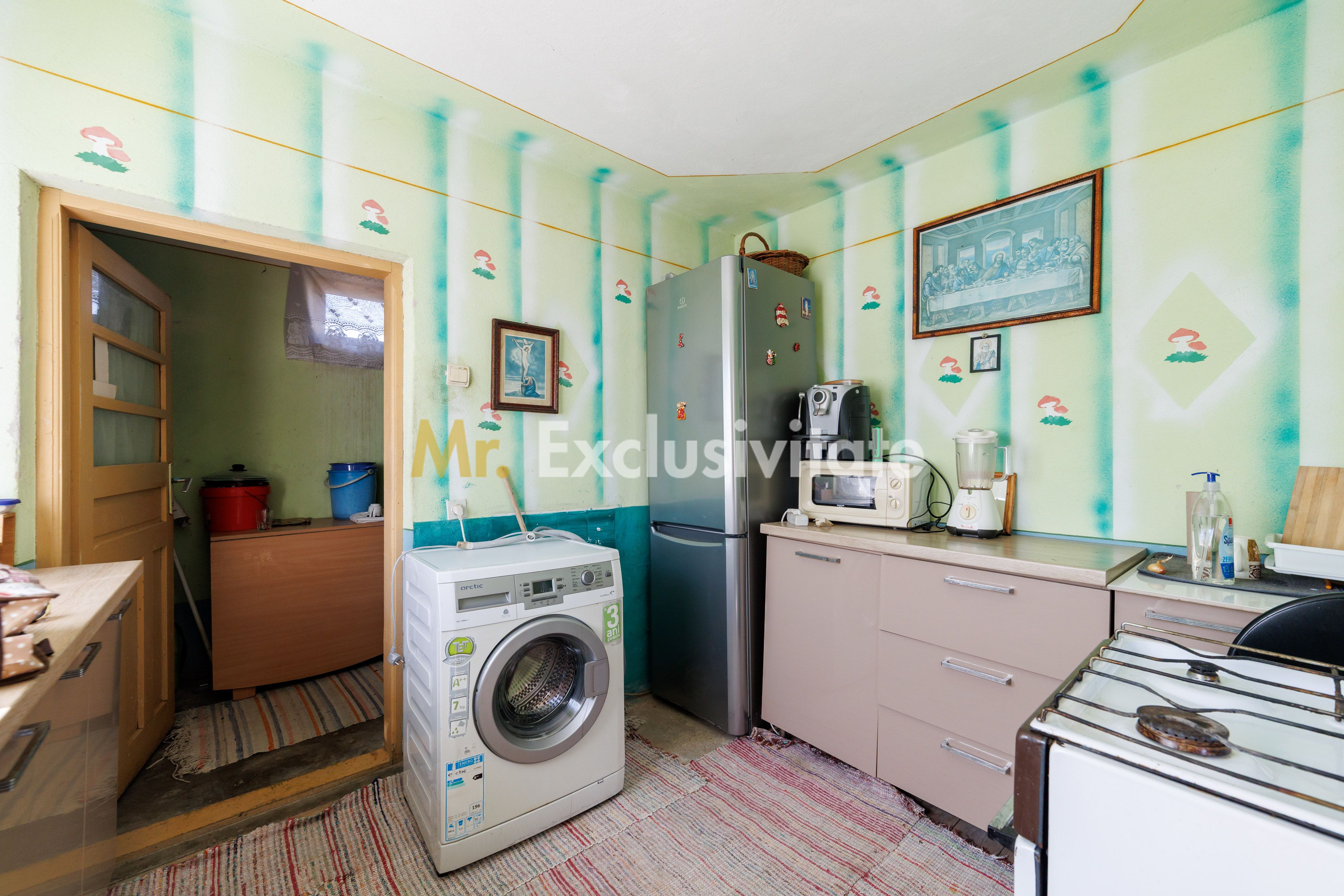 CASA SI GOSPODARIE DE VANZARE – SPINENI, OLT | 4.000 MP TEREN — fotografia 5