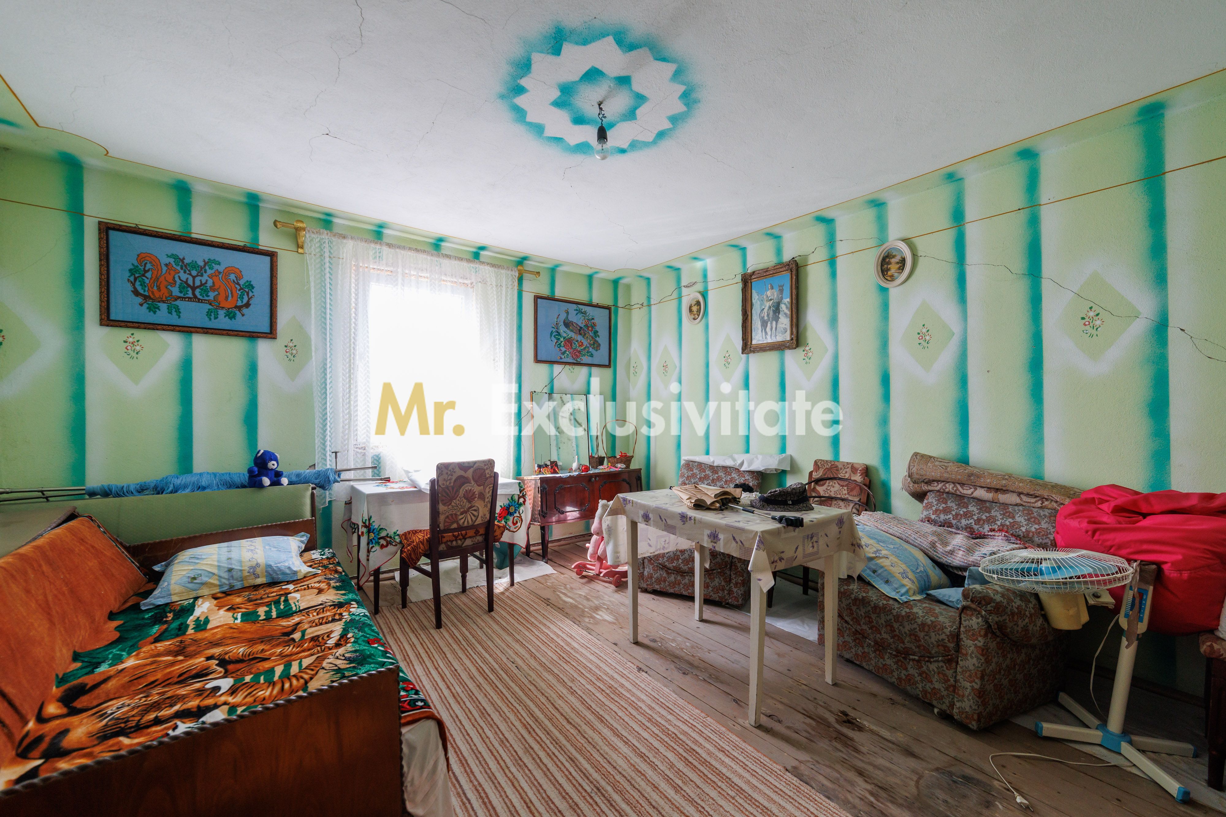 CASA SI GOSPODARIE DE VANZARE – SPINENI, OLT | 4.000 MP TEREN — fotografia 9