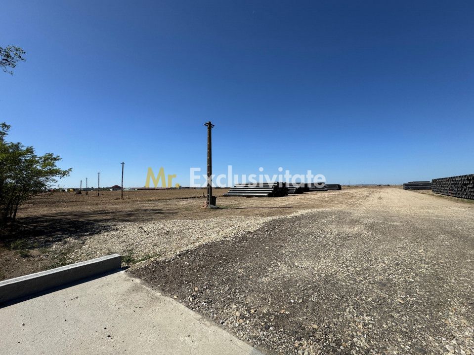 Teren extravilan de vânzare – Căteasca, Argeș | 27.201 mp | Deschidere 58,55 m — fotografia 4