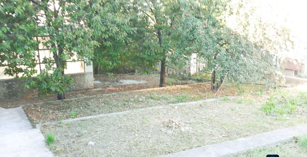 Oportunitate — fotografia 5