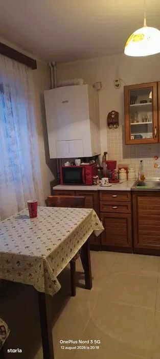 Vanzare Vila-Cartierul Tei — fotografia 7