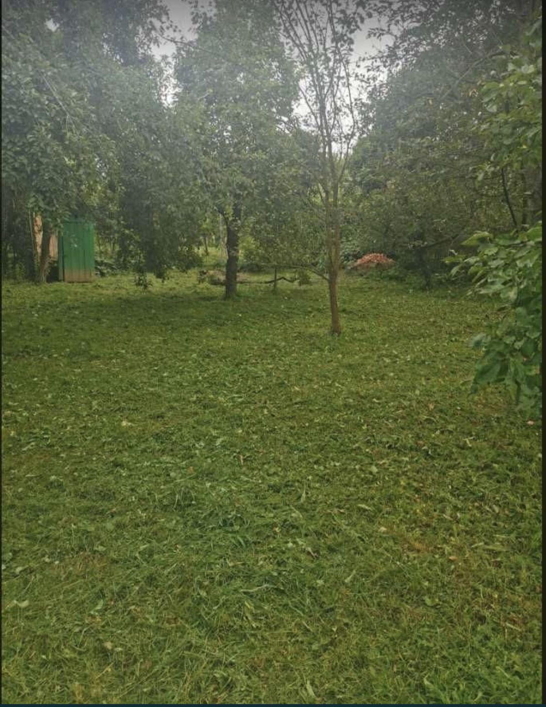 Teren cu casuta in Bercu Rosu — fotografia 3