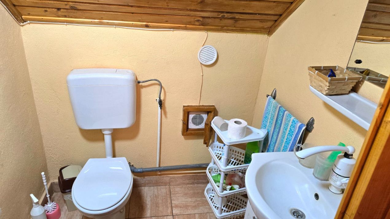 casa 3 camere Viile Satu Mare — fotografia 11
