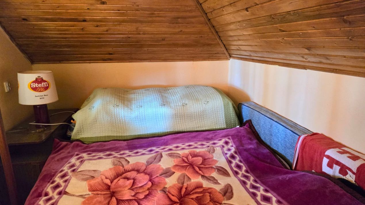 casa 3 camere Viile Satu Mare — fotografia 14