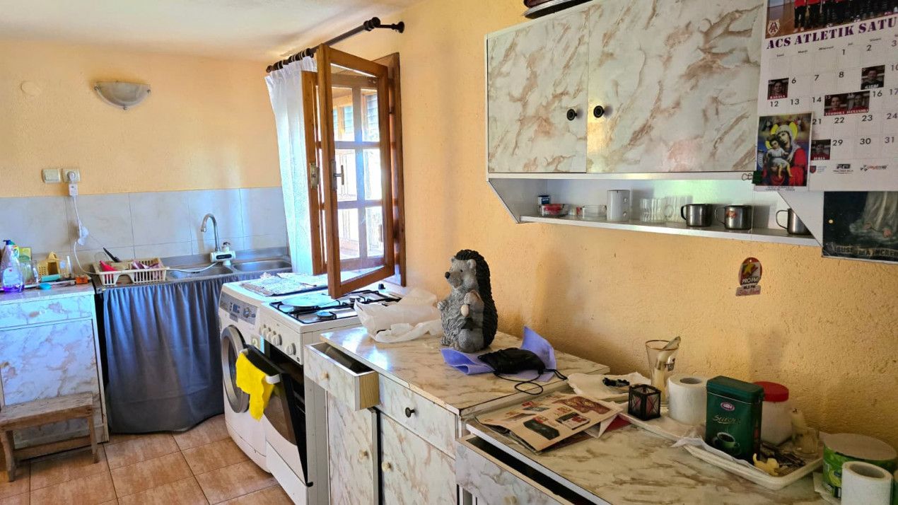 casa 3 camere Viile Satu Mare — fotografia 15