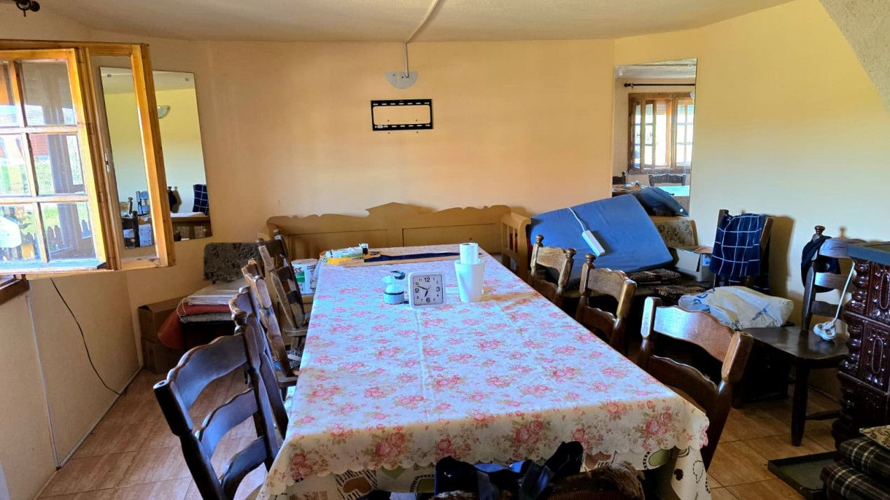 casa 3 camere Viile Satu Mare — fotografia 3