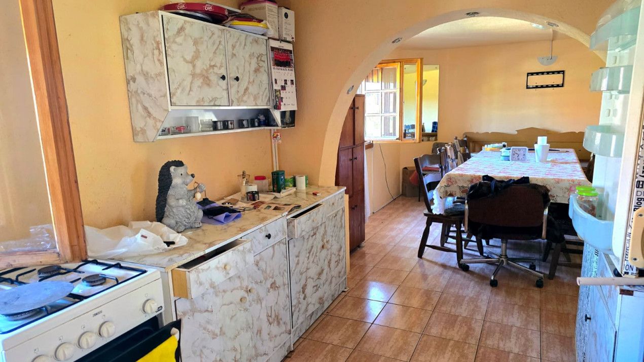 casa 3 camere Viile Satu Mare — fotografia 4