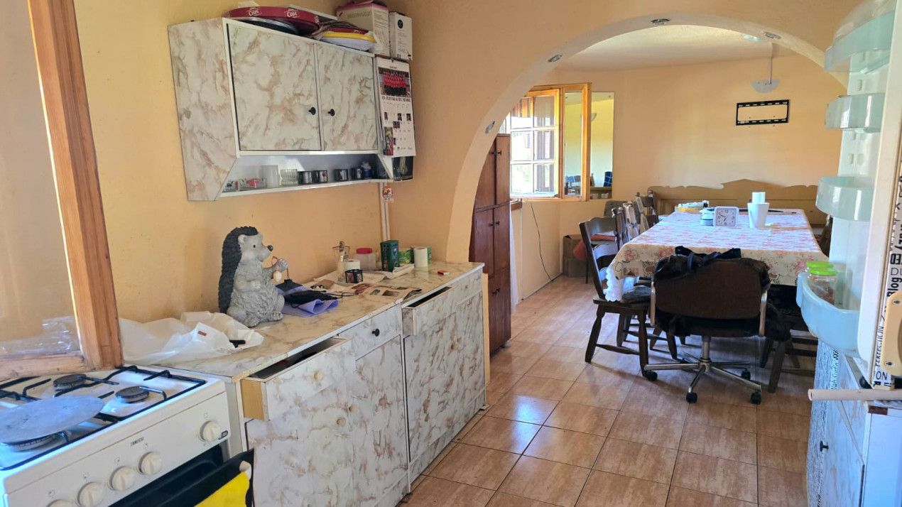 casa 3 camere Viile Satu Mare — fotografia 9