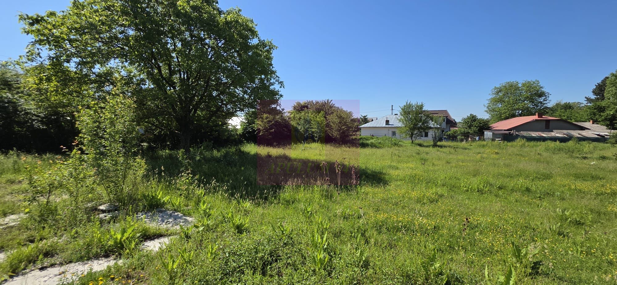 Teren intravila 40.679 mp in Campina, dezvoltare imobiliara — fotografia 5