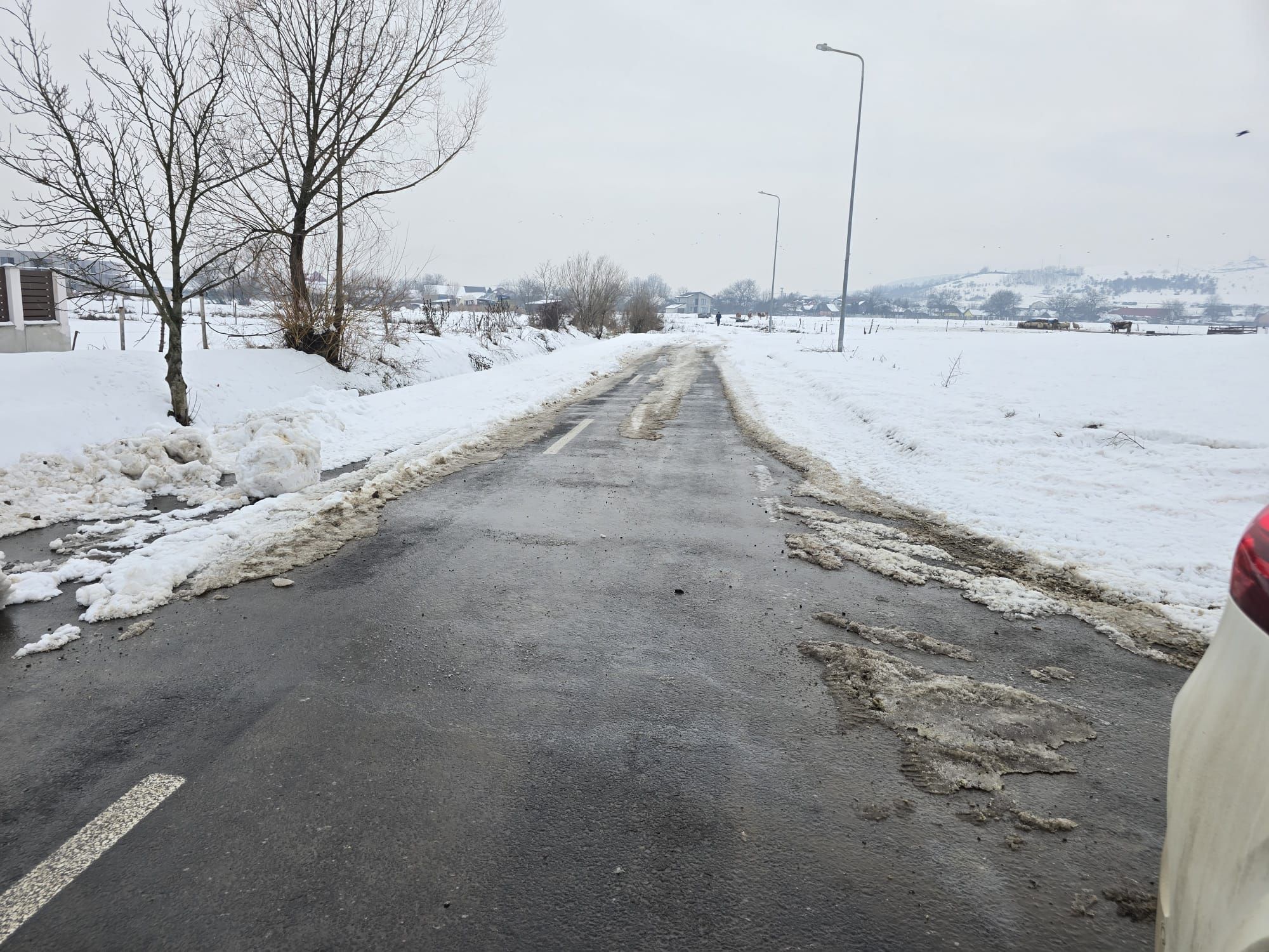 Teren Intravilan 1.036 mp.strada Eden Targu Mures,99 euro mp — fotografia 7