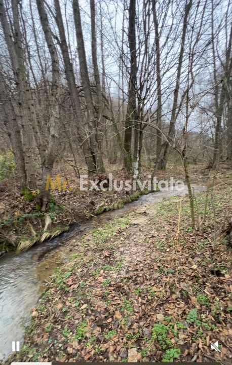 Teren intravilan 6.500 m²–Deschidere 144 ml drum european E81, km 35, Morăresti — fotografia 3
