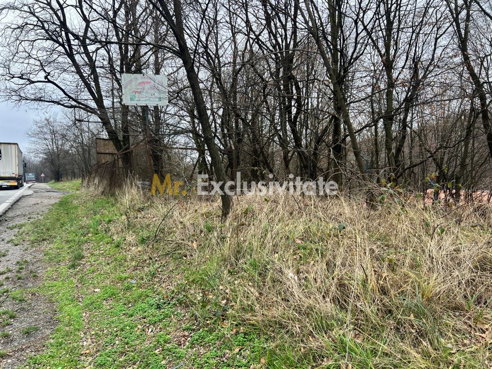 Teren intravilan 6.500 m²–Deschidere 144 ml drum european E81, km 35, Morăresti — fotografia 5