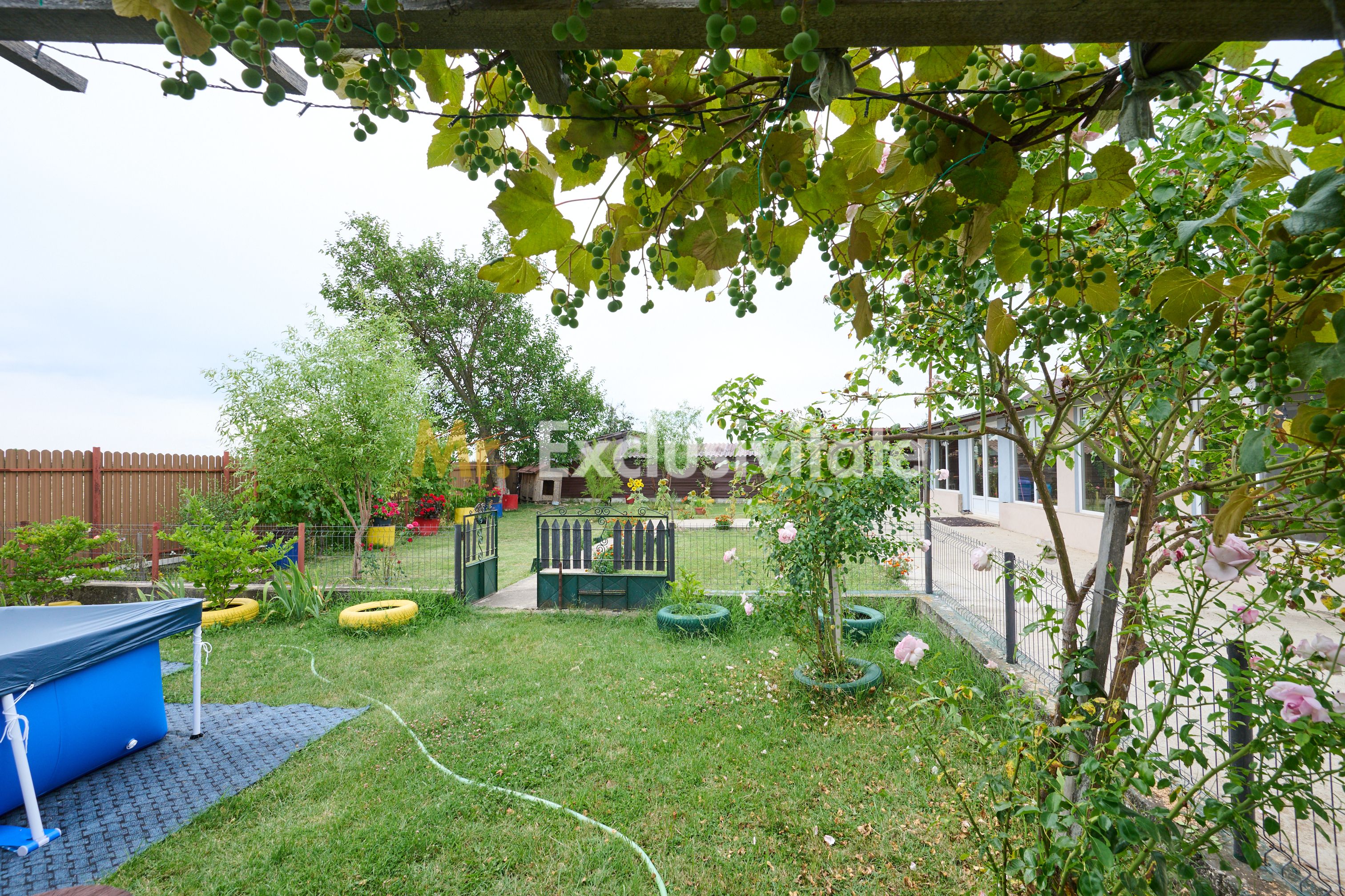 Casă cu teren generos – Vedea-Arges — fotografia 10