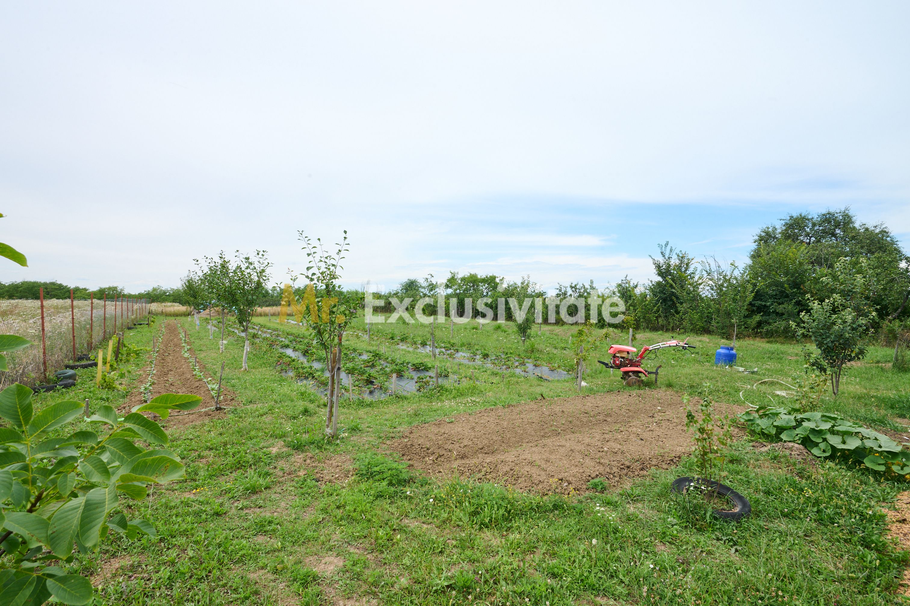 Casă cu teren generos – Vedea-Arges — fotografia 31