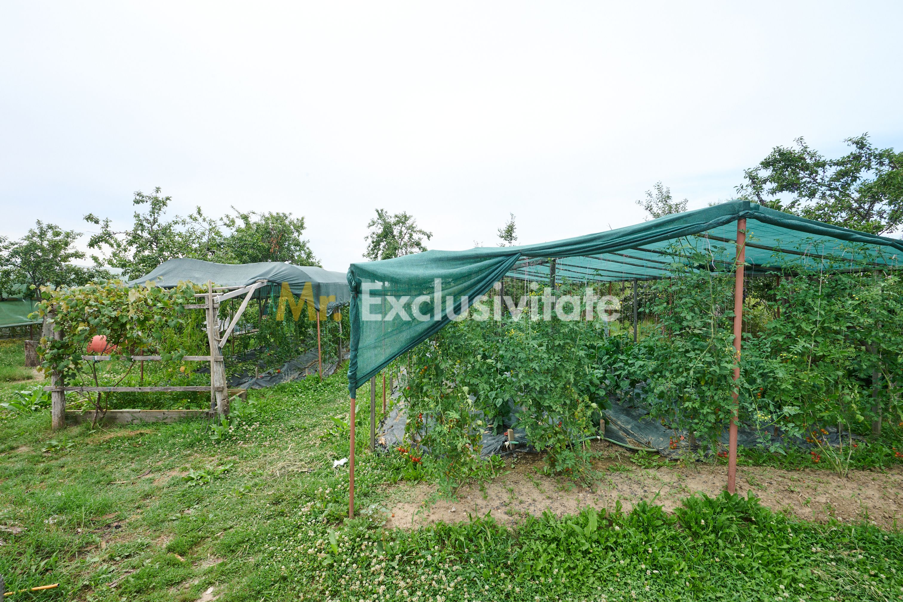 Casă cu teren generos – Vedea-Arges — fotografia 33