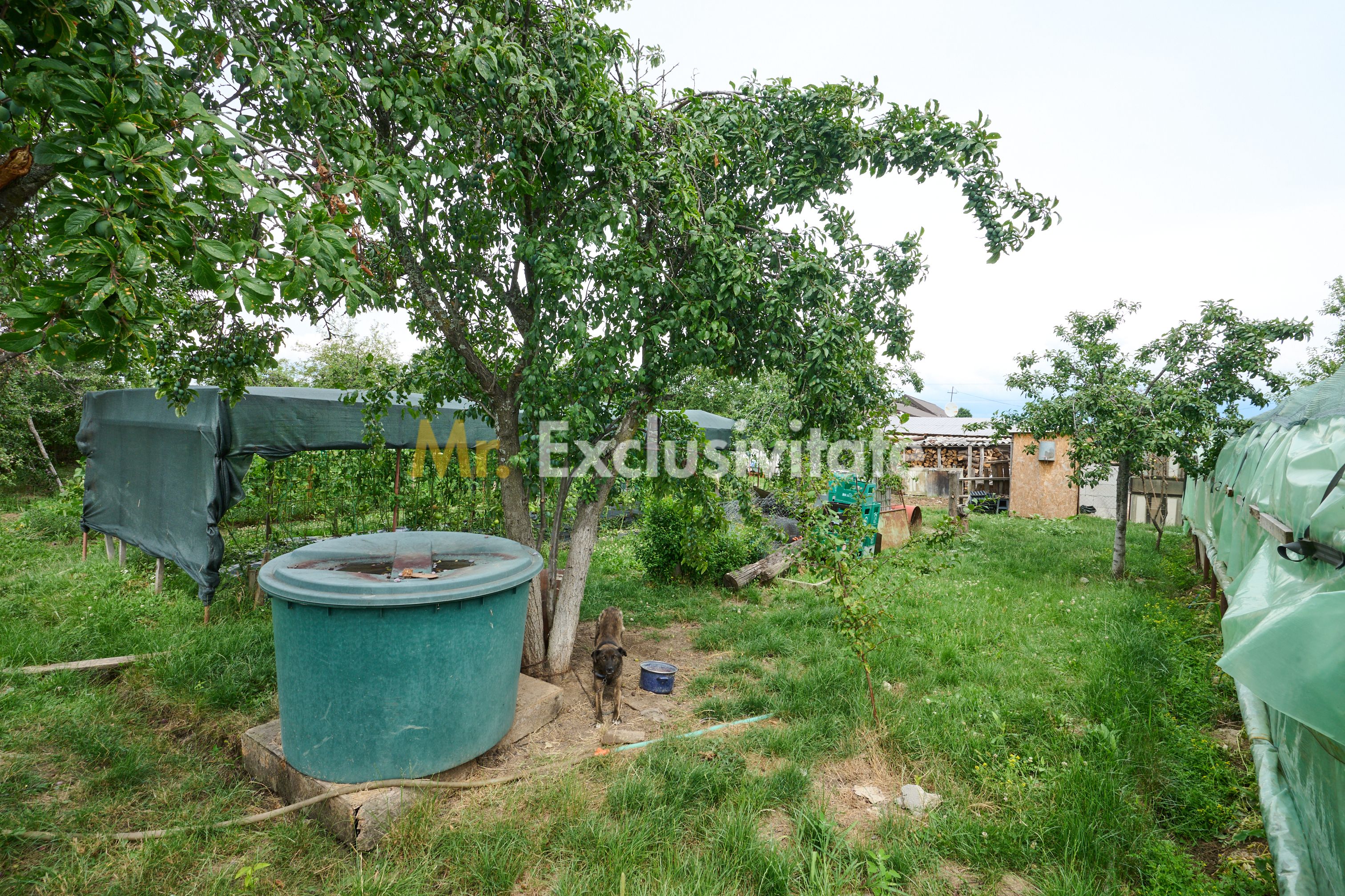 Casă cu teren generos – Vedea-Arges — fotografia 35