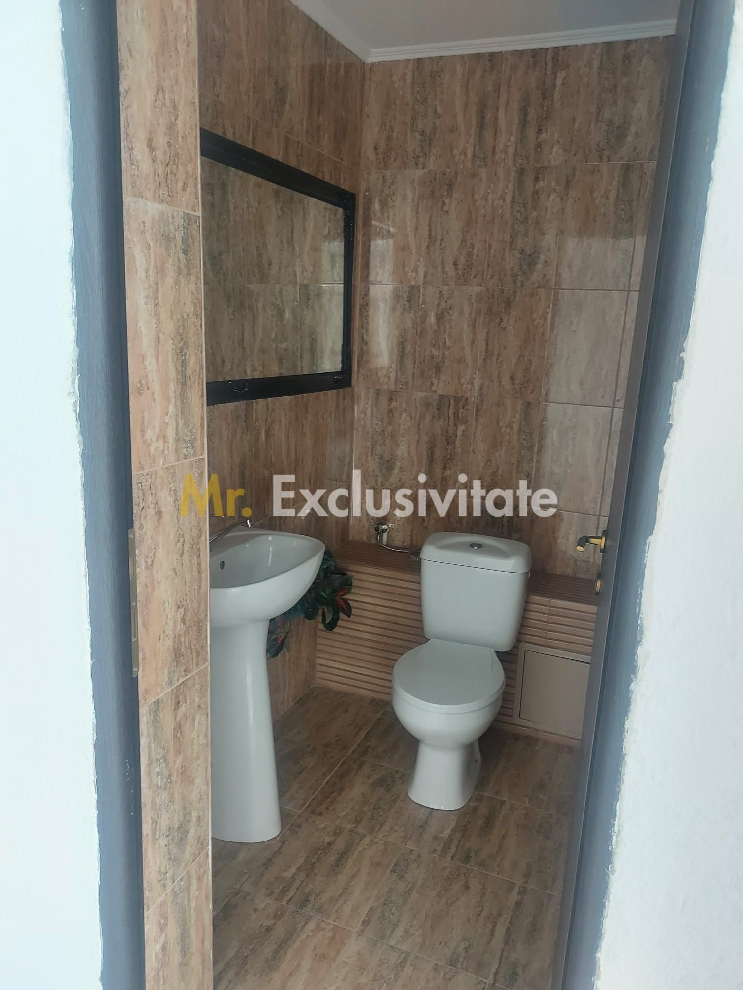 De închiriat -Spatiu Stradal, zona semicentrala, str Raurilor- Pitesti — fotografia 10