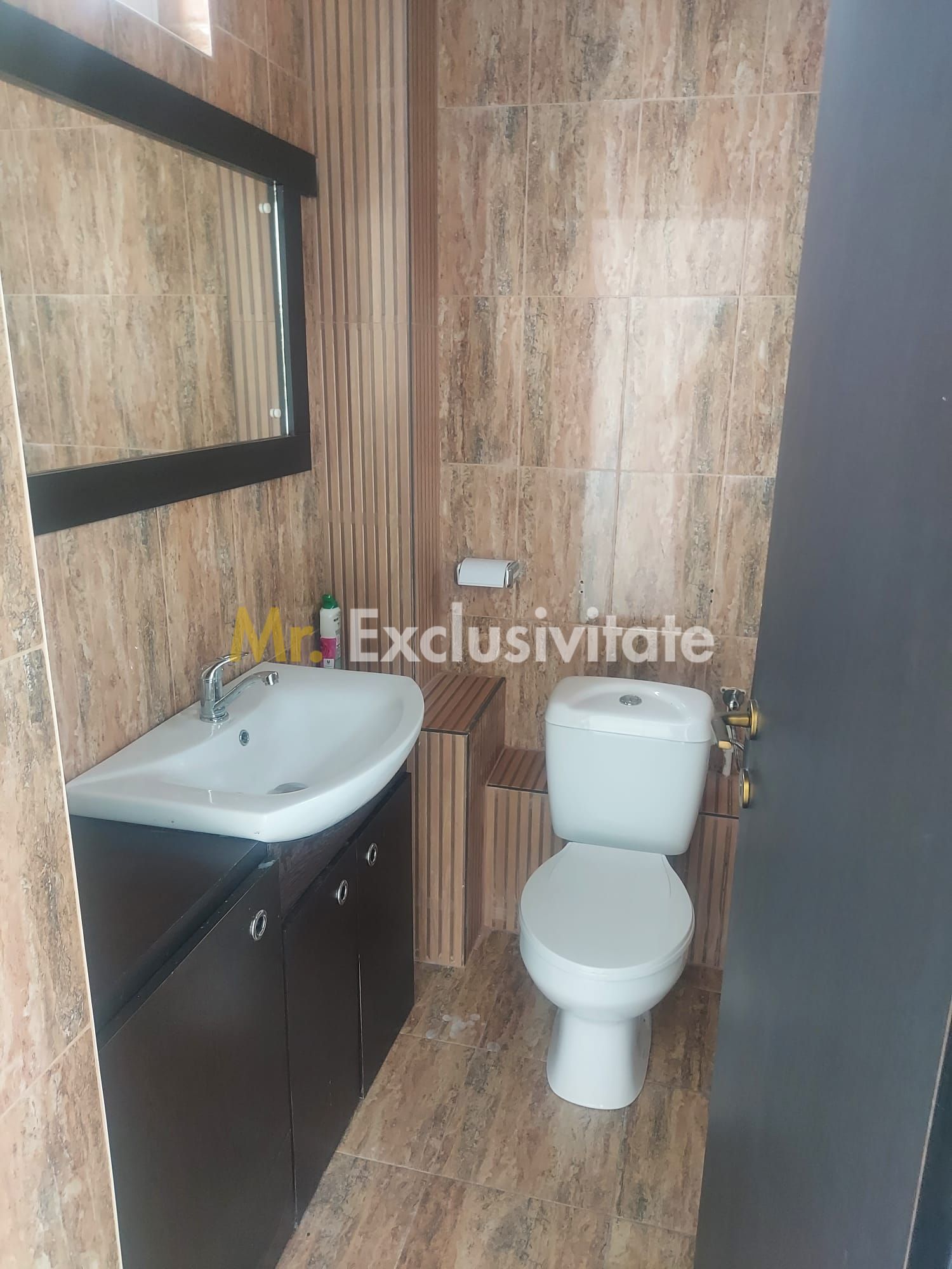 De închiriat -Spatiu Stradal, zona semicentrala, str Raurilor- Pitesti — fotografia 9