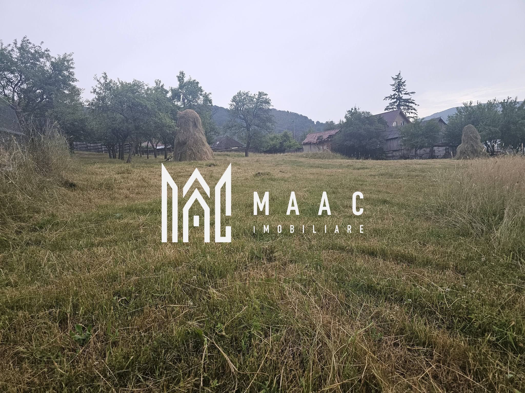 Casă 1 cameră de vânzare | Rădăcinești, Vâlcea | 5500 mp teren — fotografia 7