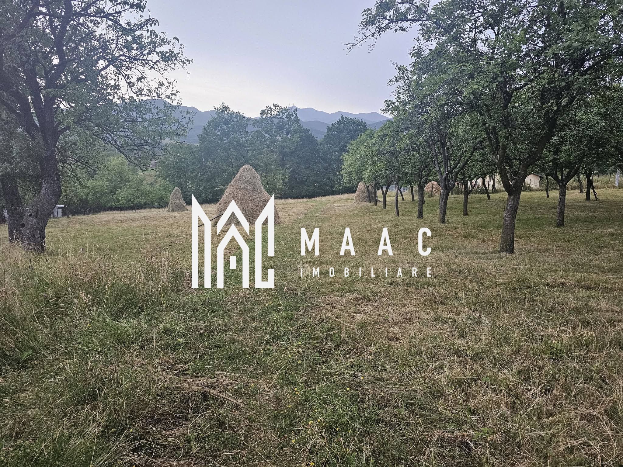 Casă 1 cameră de vânzare | Rădăcinești, Vâlcea | 5500 mp teren — fotografia 8