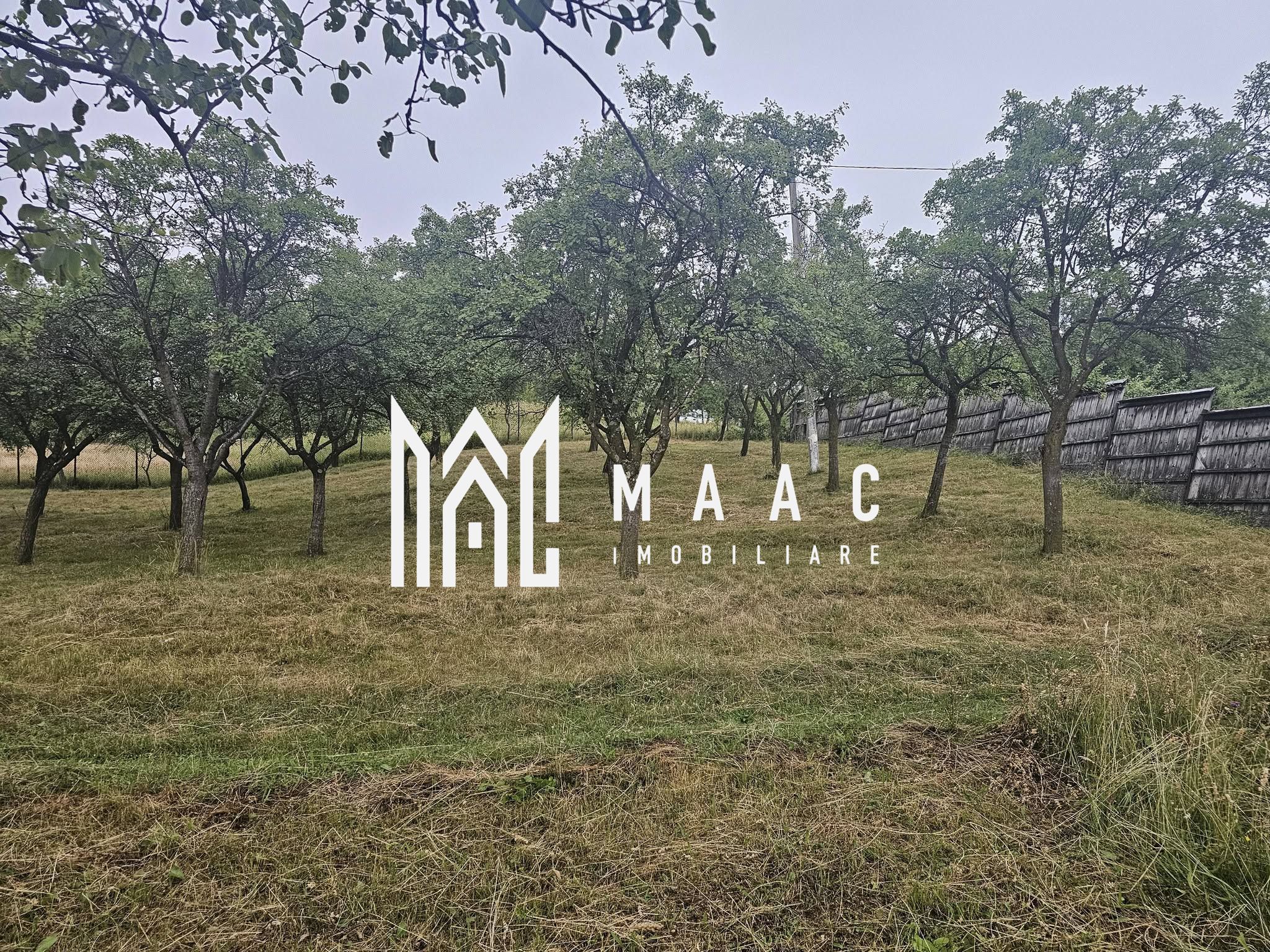 Casă 1 cameră de vânzare | Rădăcinești, Vâlcea | 5500 mp teren — fotografia 9